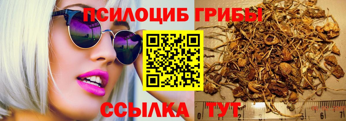 Галлюциногенные грибы MAGIC MUSHROOMS  Вход с VPN  Усть-Джегута 